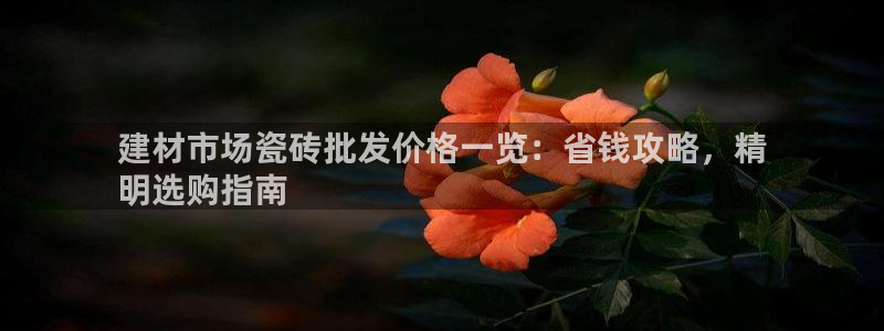 杏鑫官网注册账号是什么样的