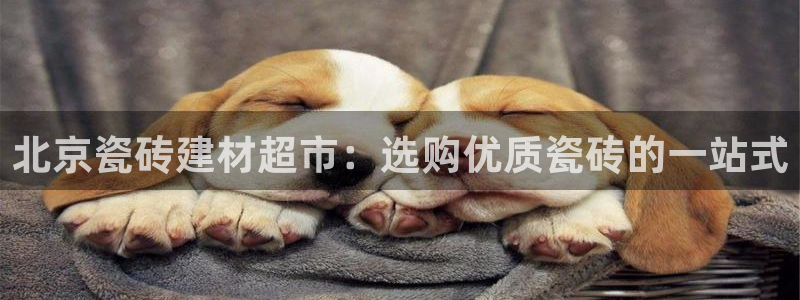 杏鑫平台登录地址是什么