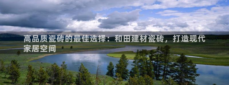 杏鑫平台代理注册流程图