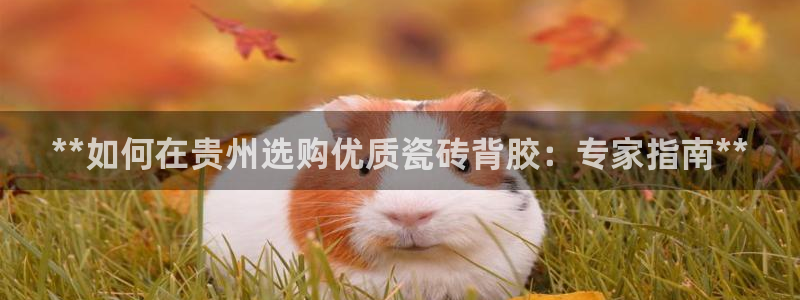 杏鑫平台野马联盟