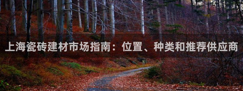 杏鑫注册登录代理公司