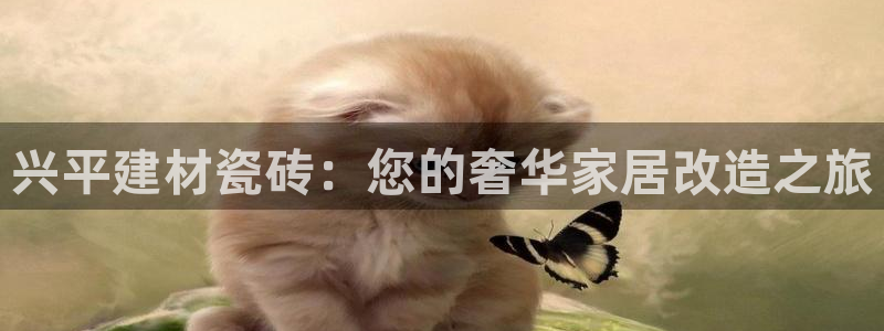 杏鑫平台代理注册流程及费用