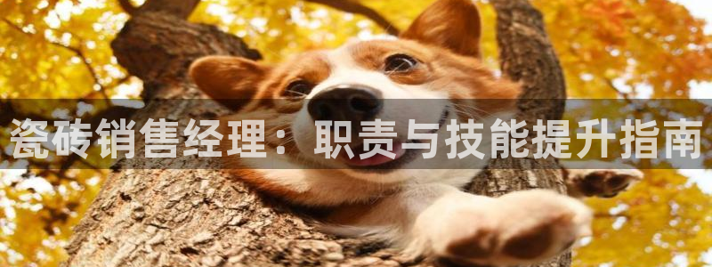 杏鑫注册登录平台是什么