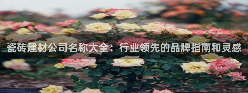 杏鑫平台线路测速
