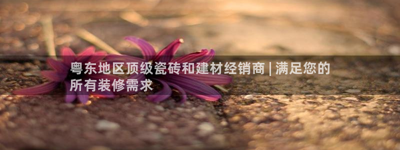 杏鑫平台登录注册