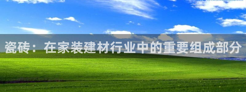 杏鑫官方平台怎么样啊知乎