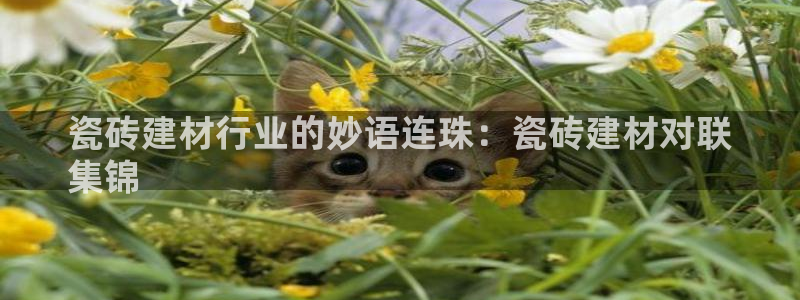 杏鑫官网