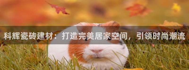 杏鑫平台代理怎么做赚钱