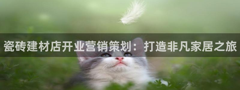 杏鑫官方平台怎么样啊