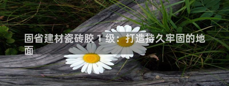杏鑫平台代理怎么样