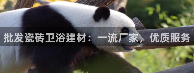 杏鑫娱乐平台登录注册网站