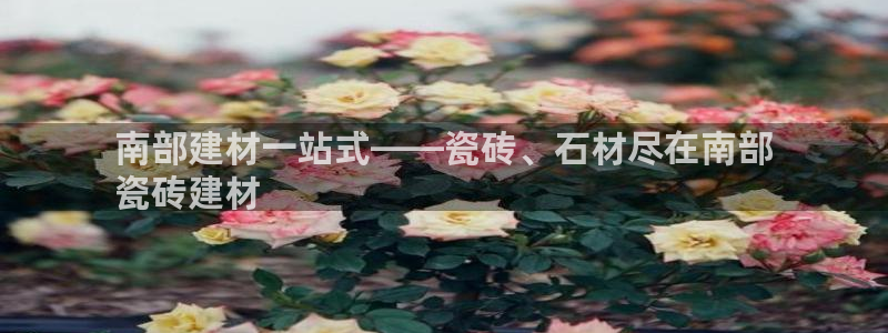 杏鑫平台正规吗