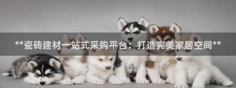 杏鑫官方平台怎么样