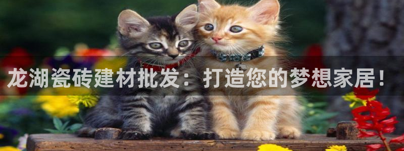 杏鑫平台代理注册多少钱