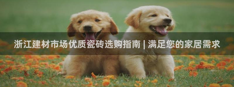 杏鑫平台招商怎么样
