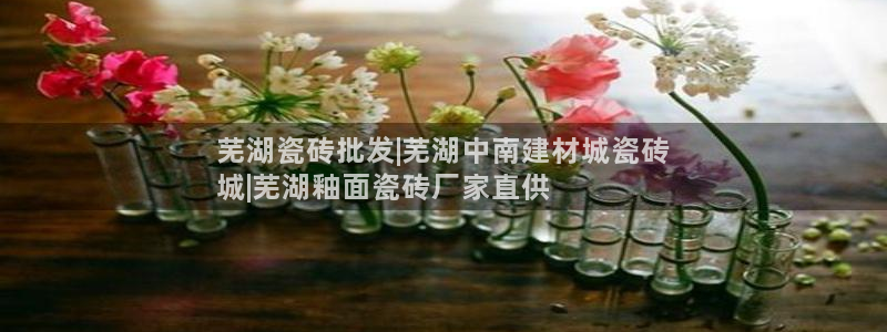 杏鑫官网