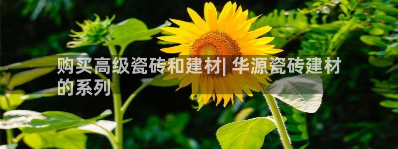杏鑫官方平台怎么样啊可靠吗