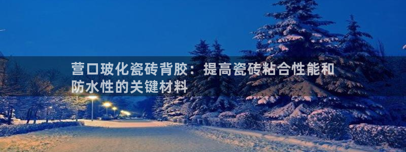 杏鑫3主管
