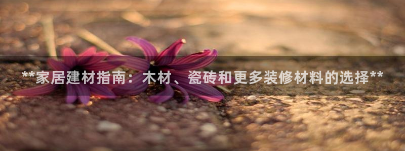 杏鑫平台登录地址查询