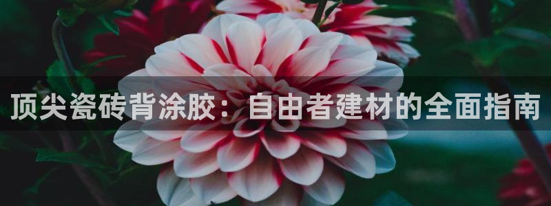 杏鑫平台平台娱乐怎么样