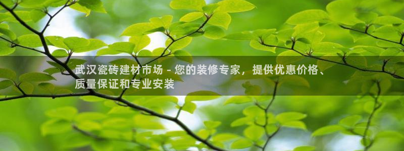 杏鑫注册登录平台是什么