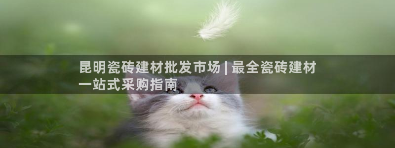 杏鑫娱乐官网下载