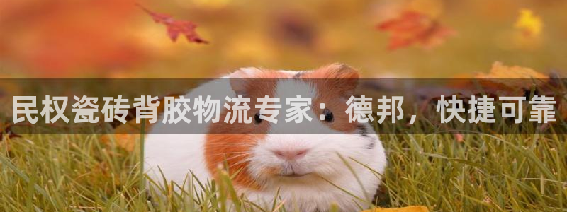 杏鑫平台官方网站
