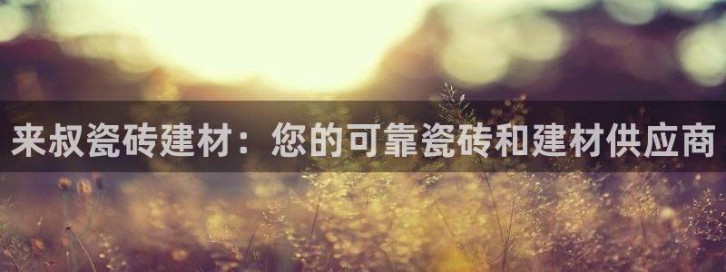 杏鑫平台代理注册流程