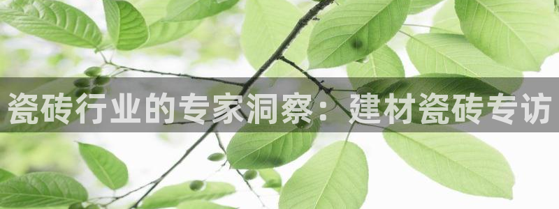 杏鑫平台待遇