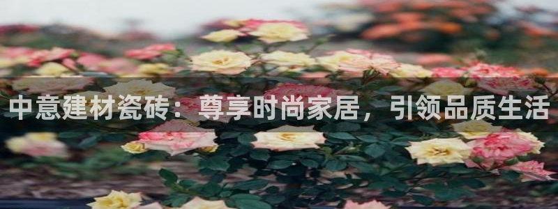 杏鑫平台官方网站