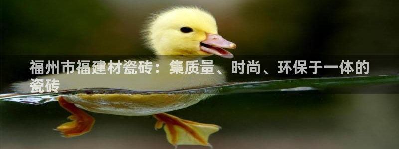 杏鑫平台注册网址