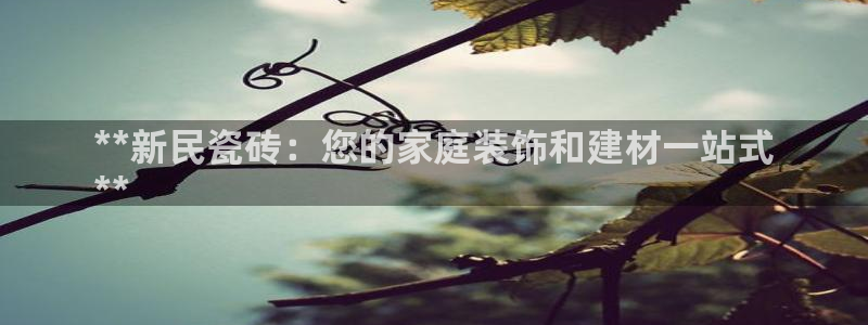 杏鑫注册登录网址是多少