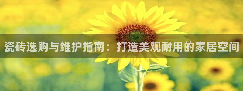 杏鑫平台号7O777