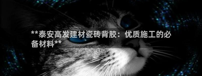 杏鑫平台代理注册流程视频
