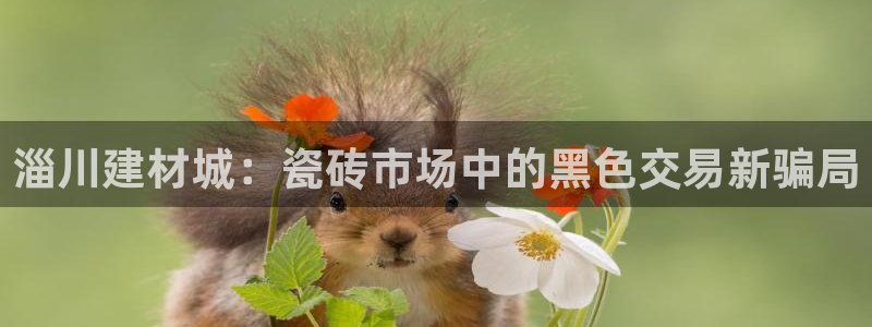 杏鑫平台登录地址查询