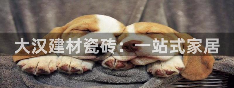 杏鑫平台代理怎么样啊