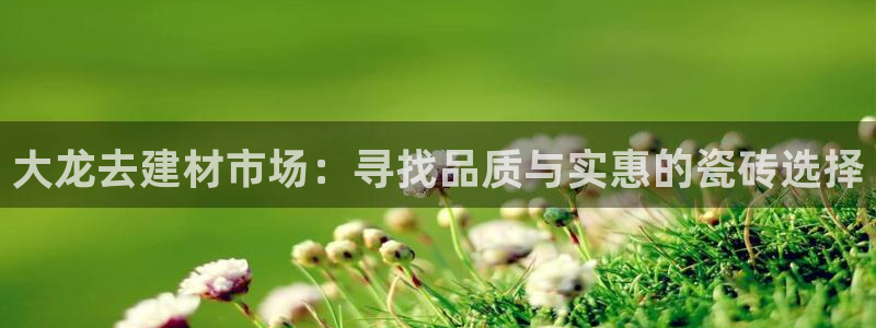 杏鑫平台代理注册多少钱