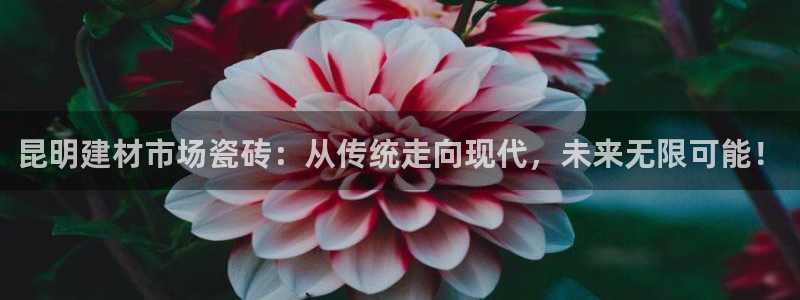 杏鑫主管