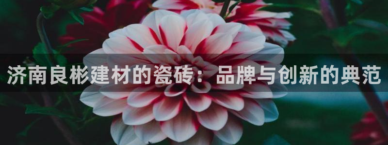 杏鑫平台念7O777
