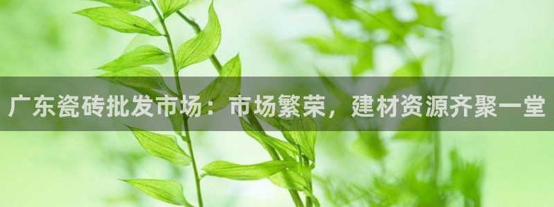 杏鑫官网最新信息新闻报道