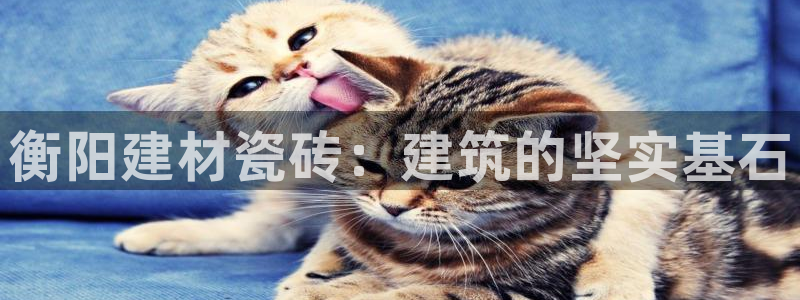 杏鑫娱乐平台登录