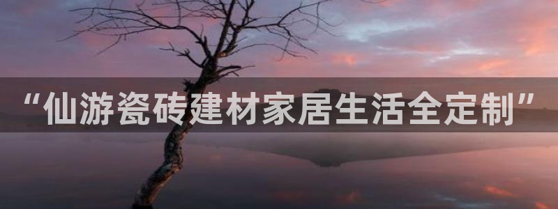 杏鑫官网最新信息新闻