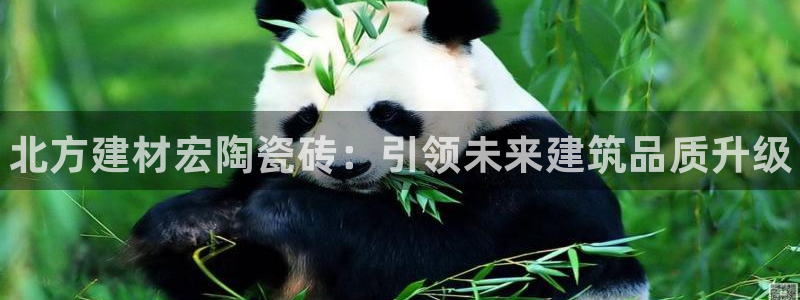 杏鑫官网注册账号是什么样的