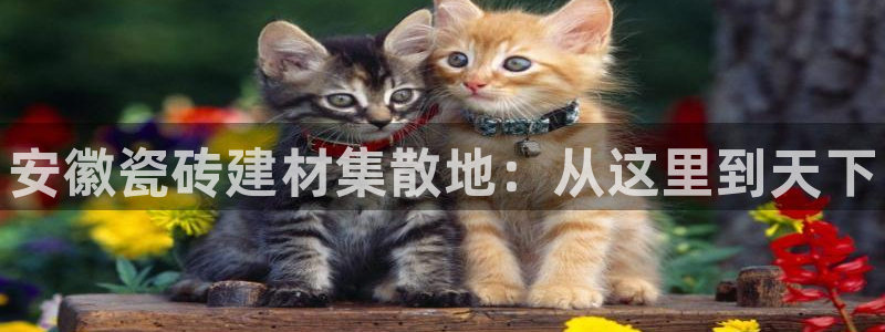 杏鑫娱乐怎么下