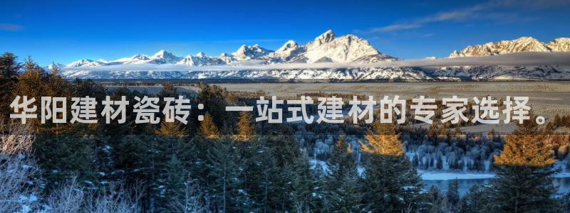 杏鑫平台是黑平台吗