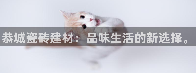 杏鑫平台代理注册多少钱一个