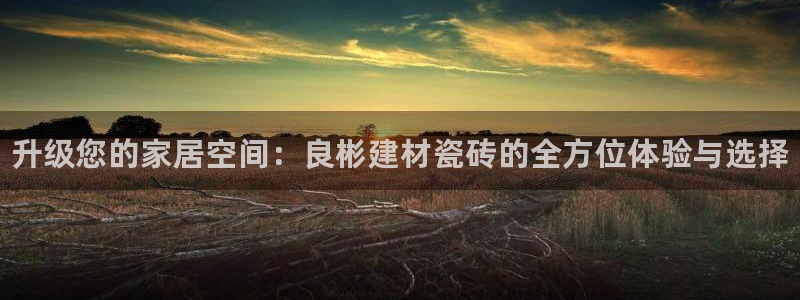 杏鑫平台登录地址