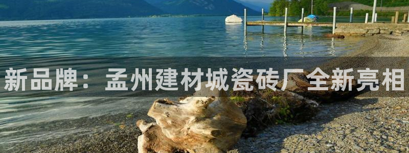 杏鑫官方平台怎么样啊知乎