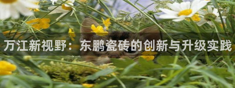 杏鑫登录注册测速