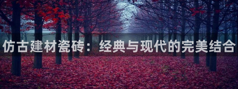 杏鑫平台注册地址